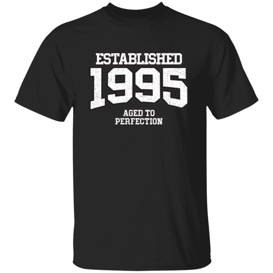 Established 1995 Aged To Perfection - T Shirt