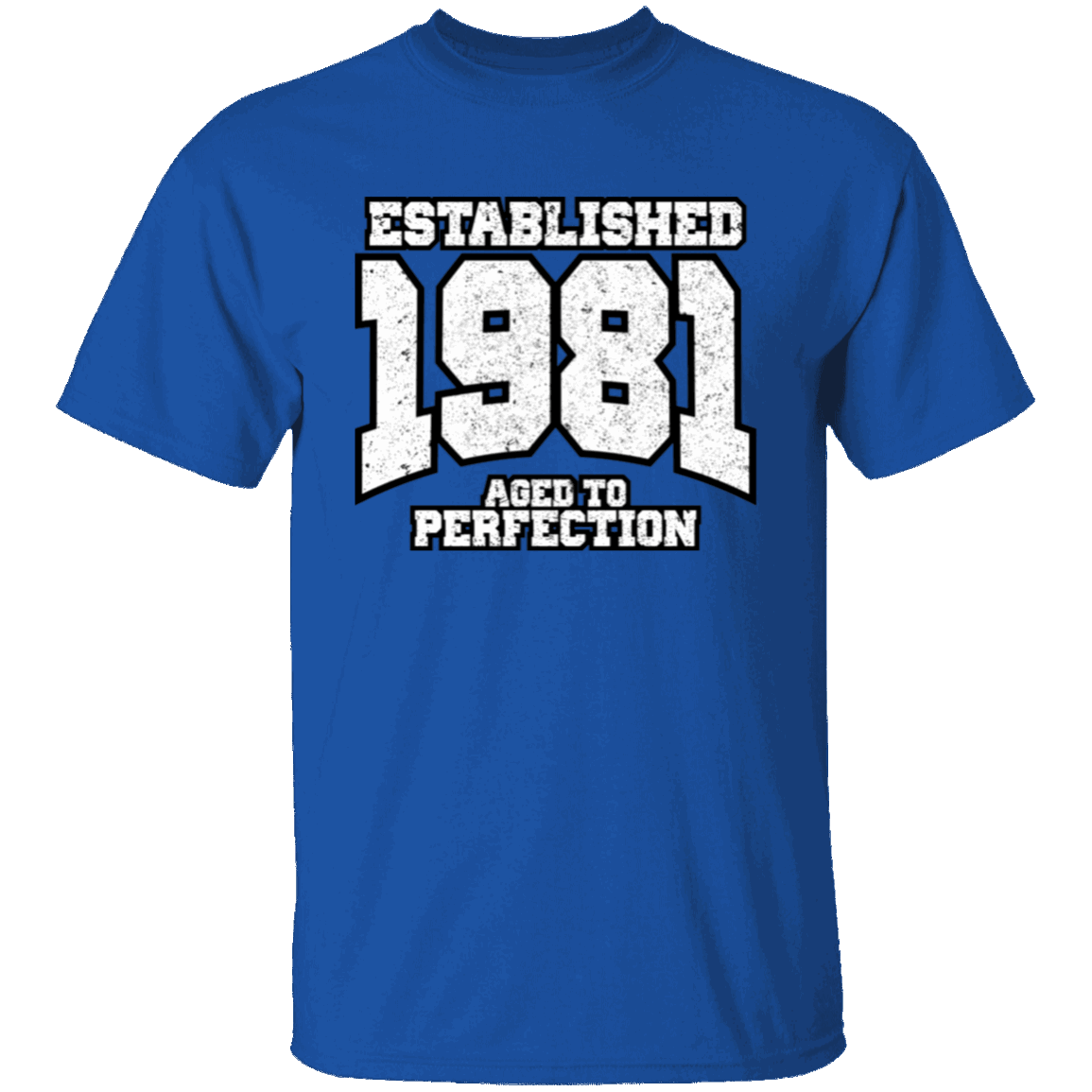 Established 1981 Aged To Perfection - T Shirt