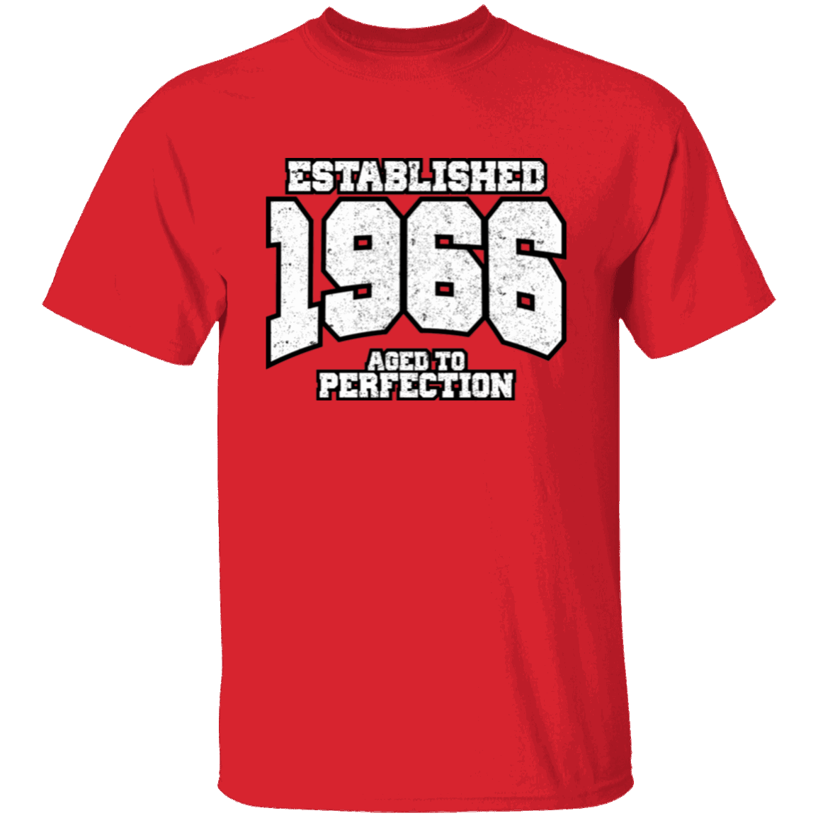 Established 1966 Aged To Perfection - T Shirt