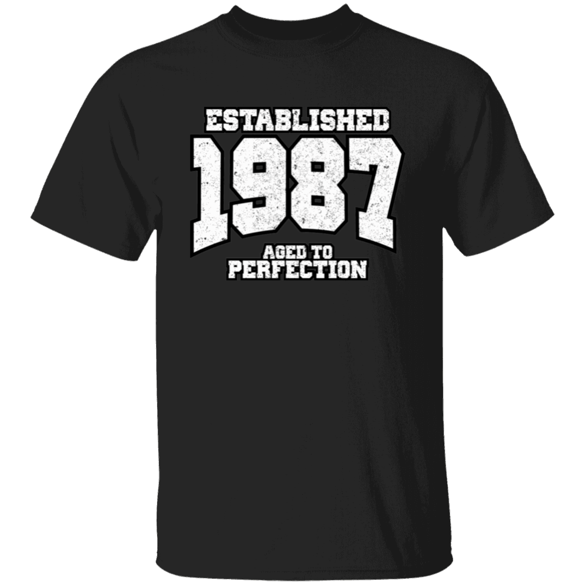 Established 1987 Aged To Perfection - T Shirt