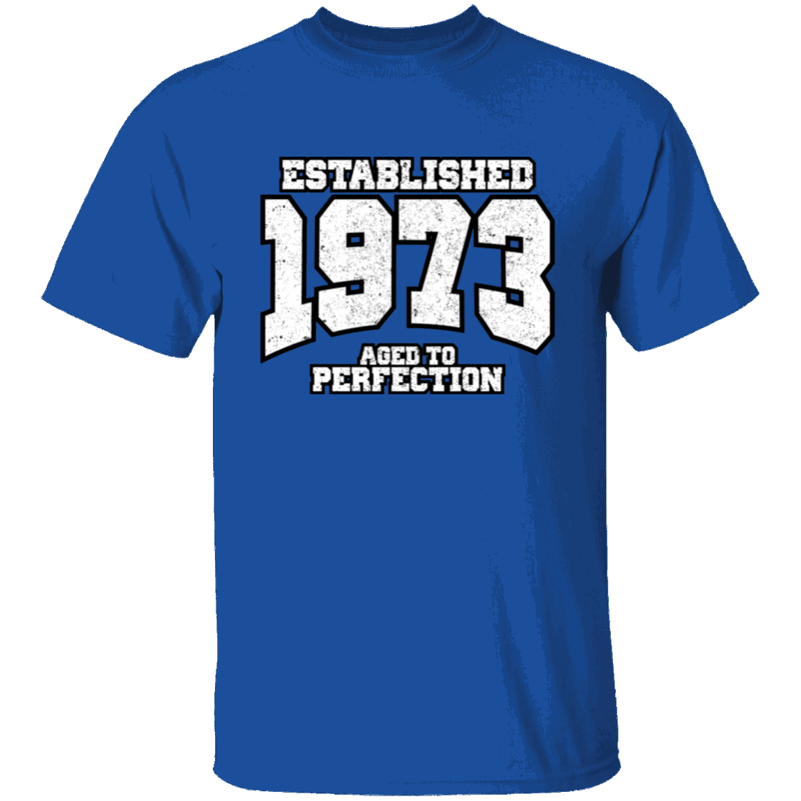 Established 1973 Aged To Perfection - T Shirt