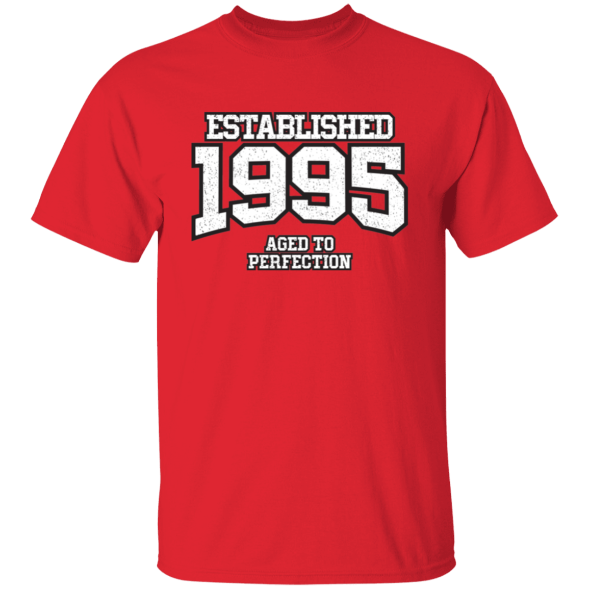 Established 1995 Aged To Perfection - T Shirt