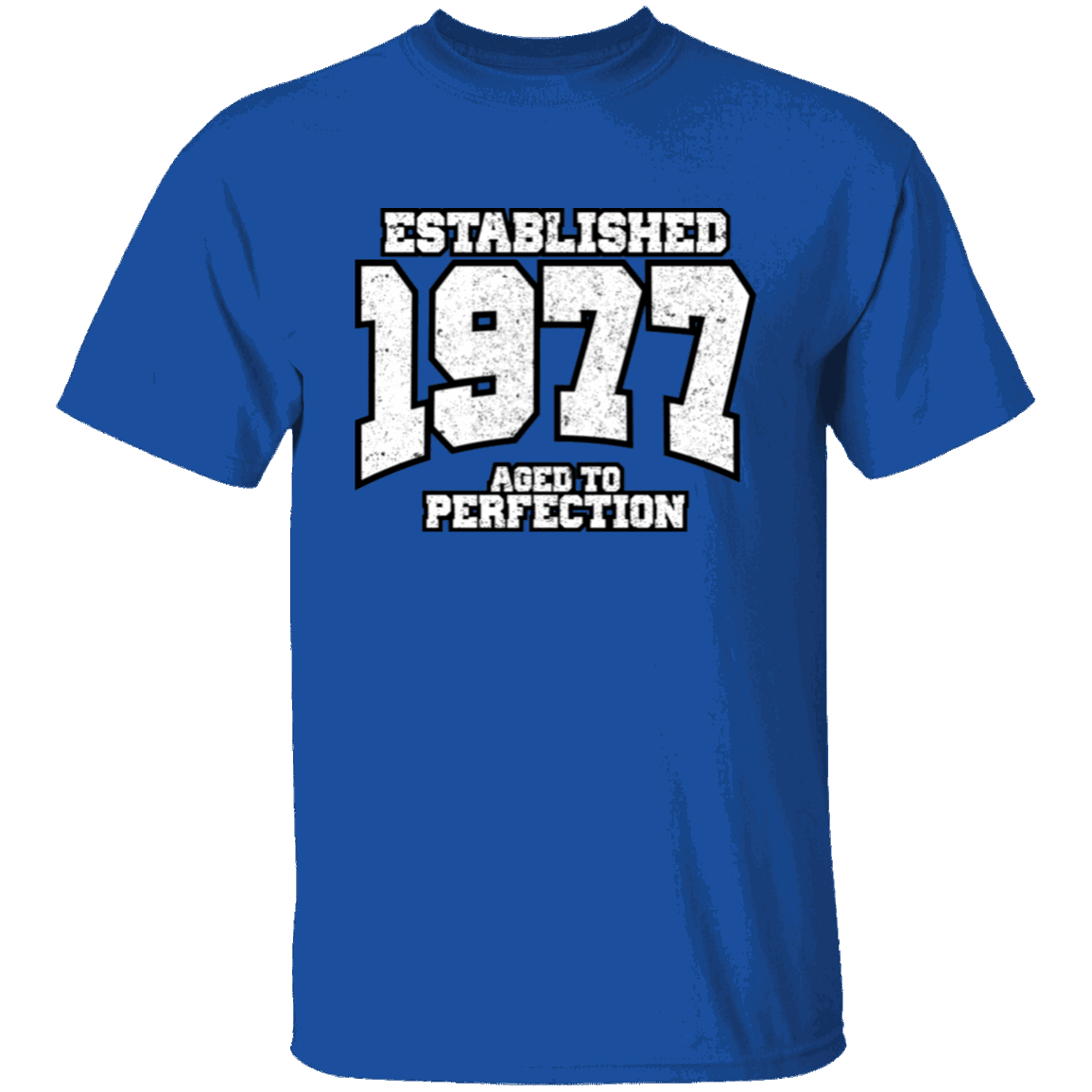 Established 1977 Aged To Perfection - T Shirt