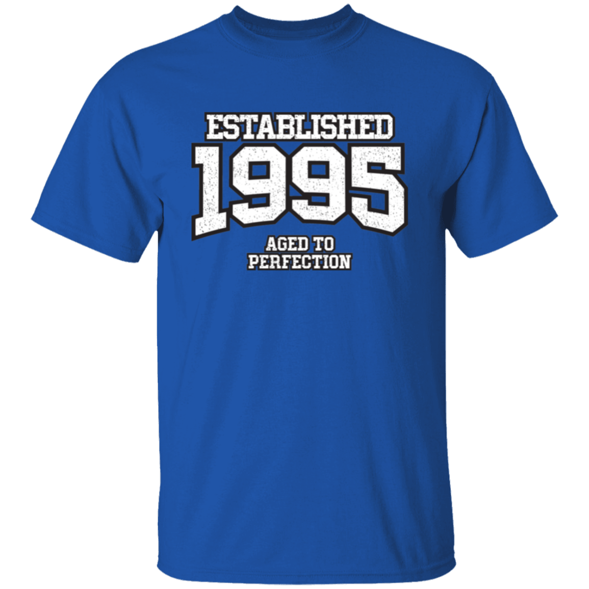 Established 1995 Aged To Perfection - T Shirt