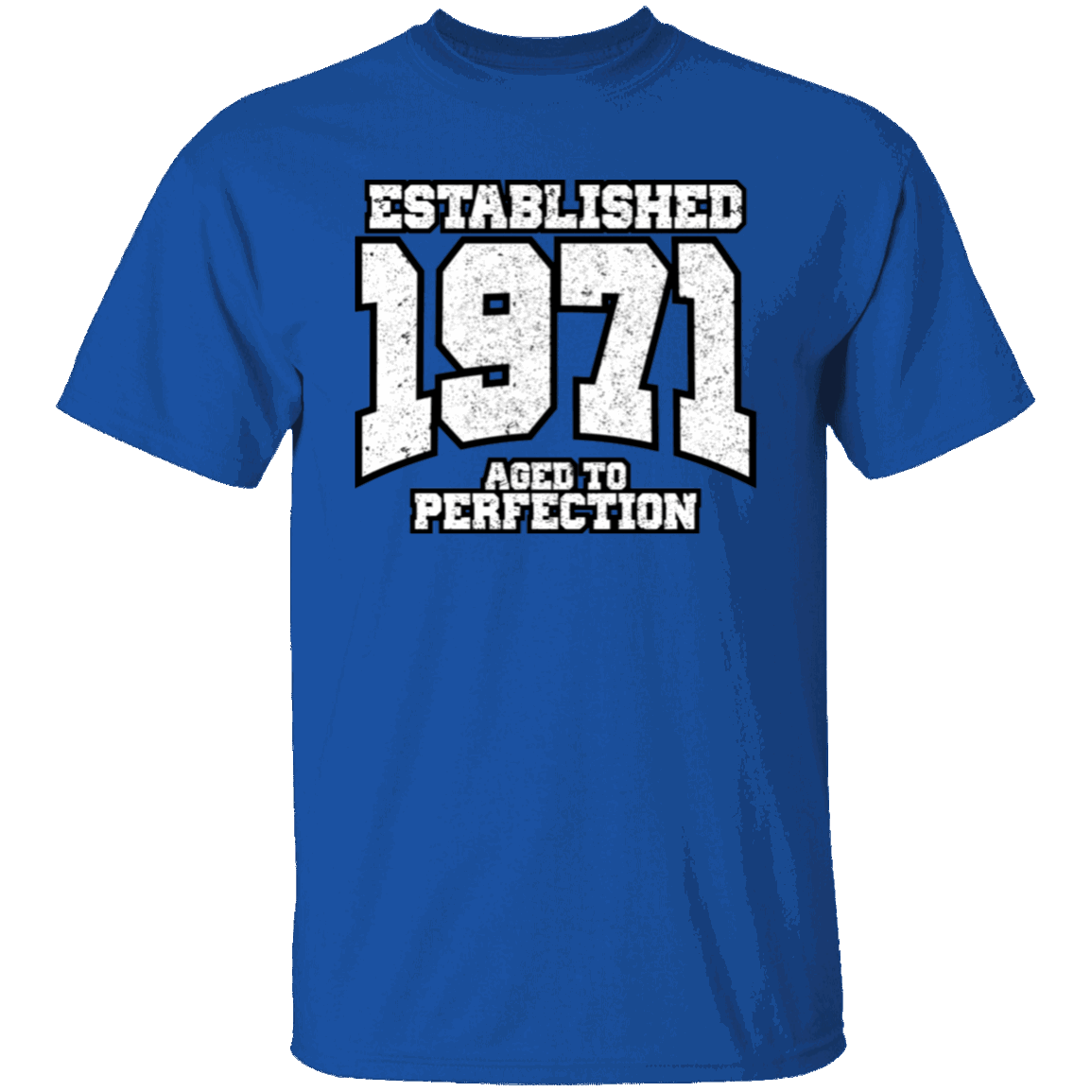 Established 1971 Aged To Perfection - T Shirt