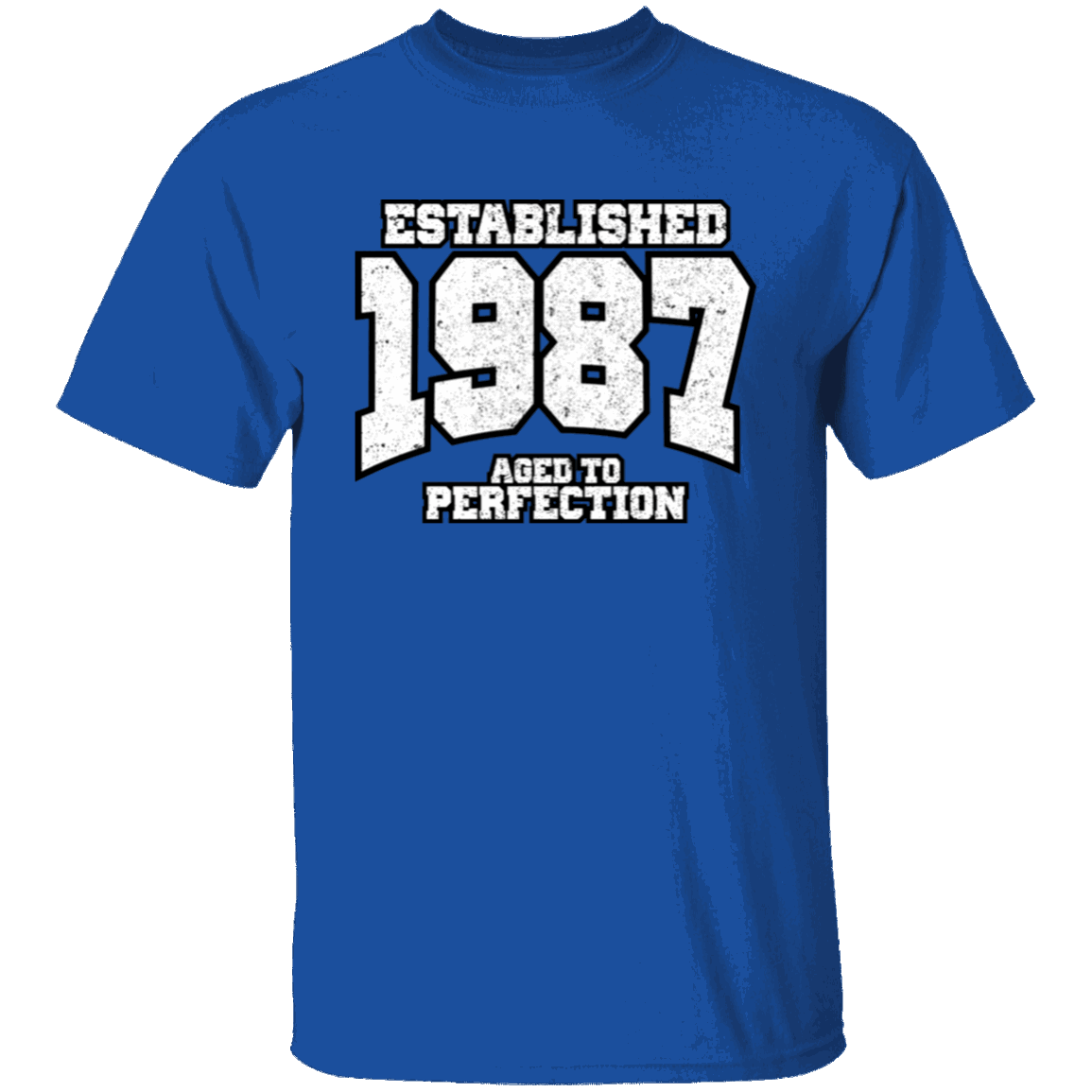 Established 1987 Aged To Perfection - T Shirt