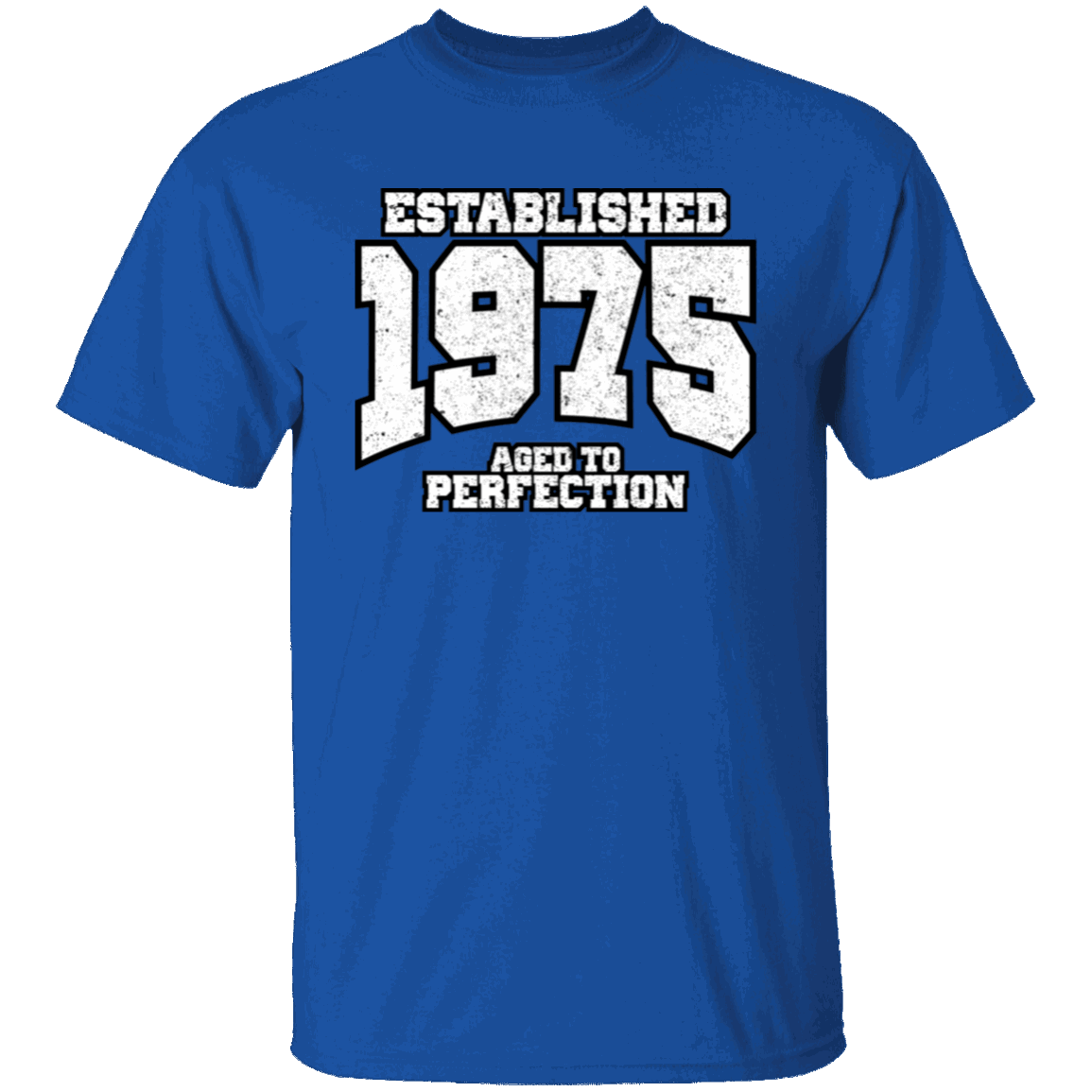 Established 1975 Aged To Perfection - T Shirt