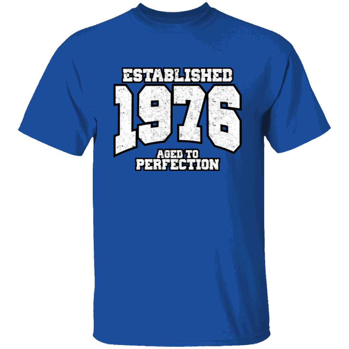 Established 1976 Aged To Perfection - T Shirt