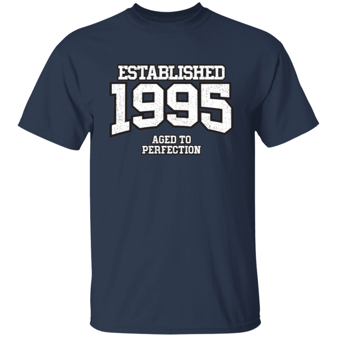 Established 1995 Aged To Perfection - T Shirt