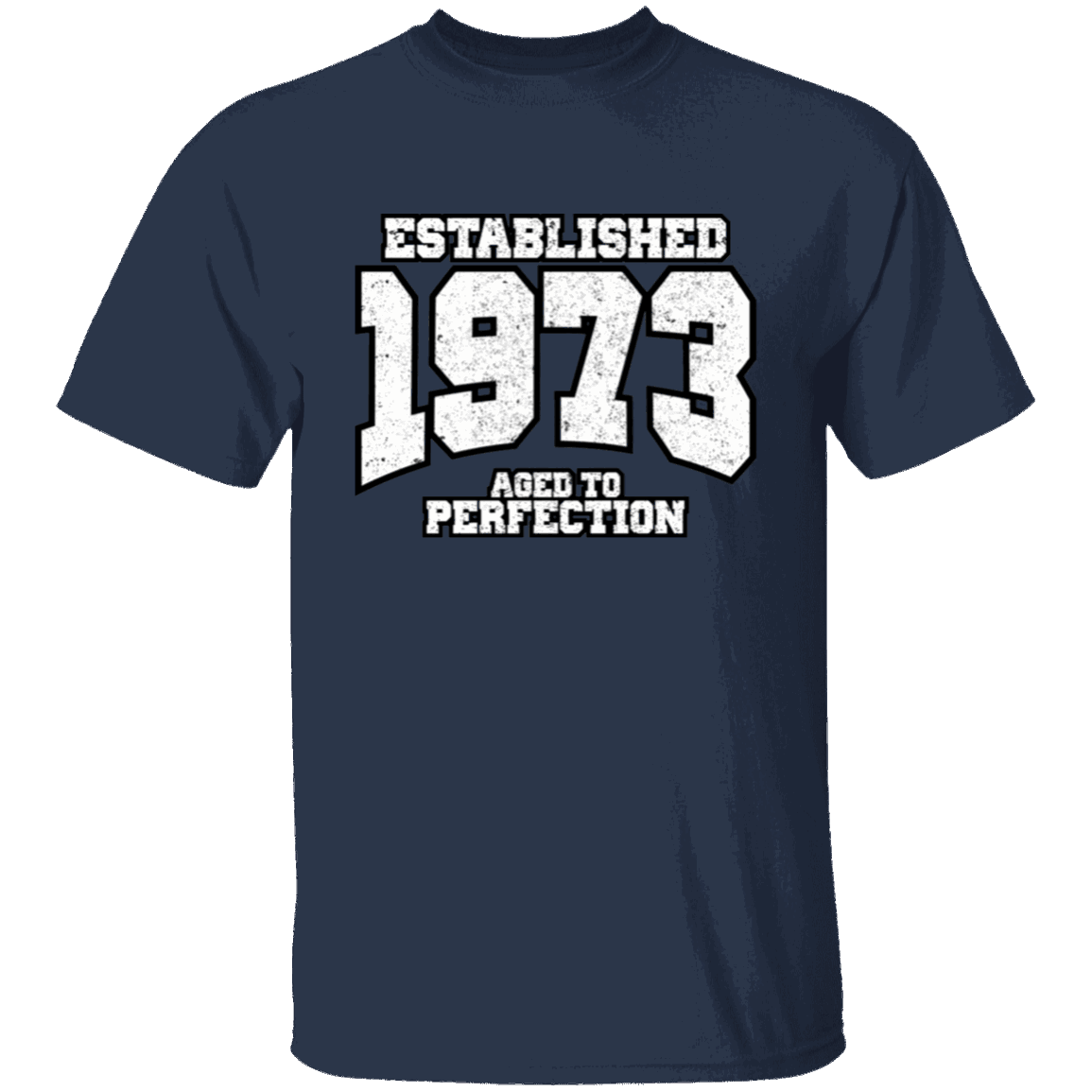 Established 1973 Aged To Perfection - T Shirt