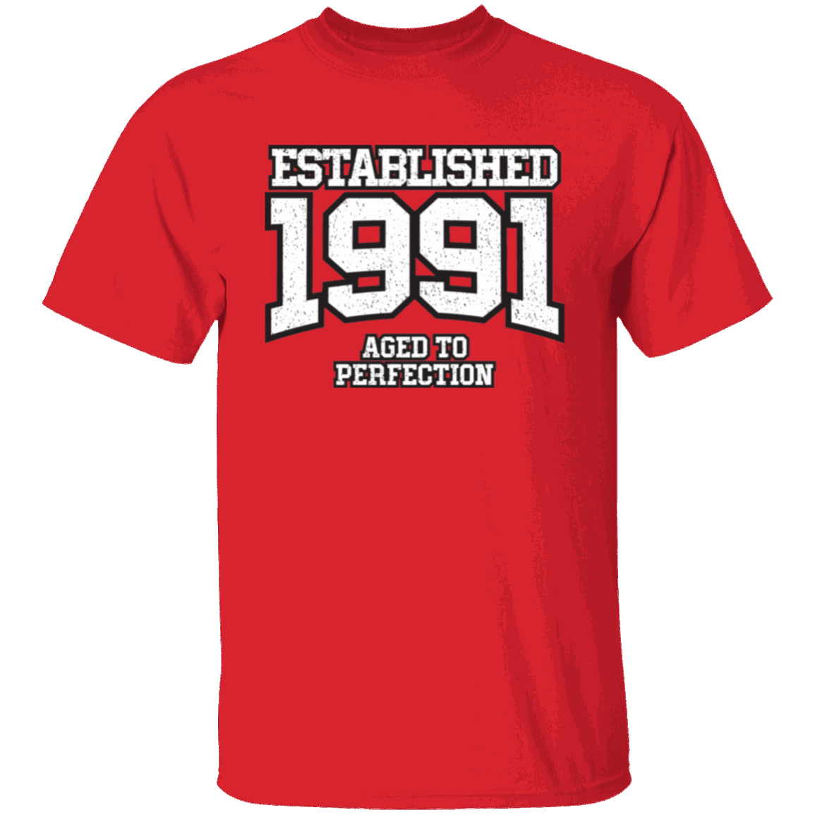 Established 1991 Aged To Perfection - T Shirt