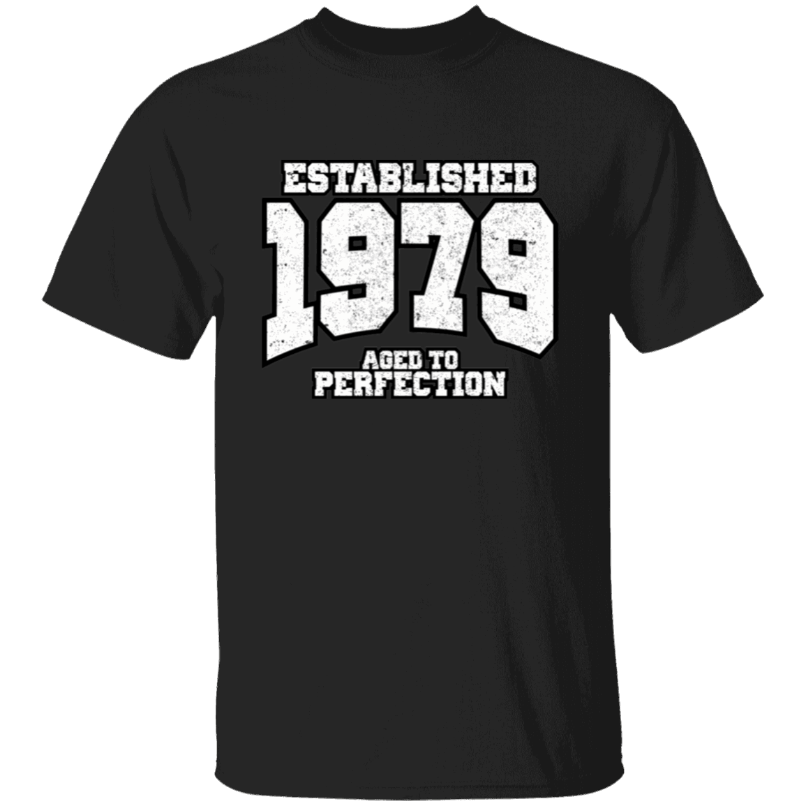 Established 1979 Aged To Perfection - T Shirt