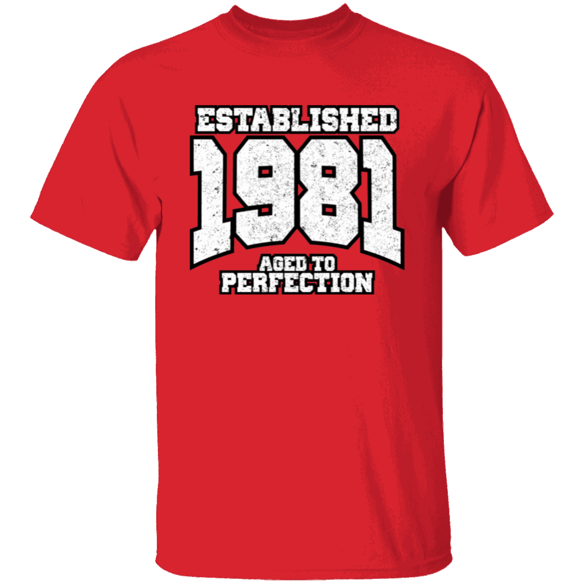 Established 1981 Aged To Perfection - T Shirt