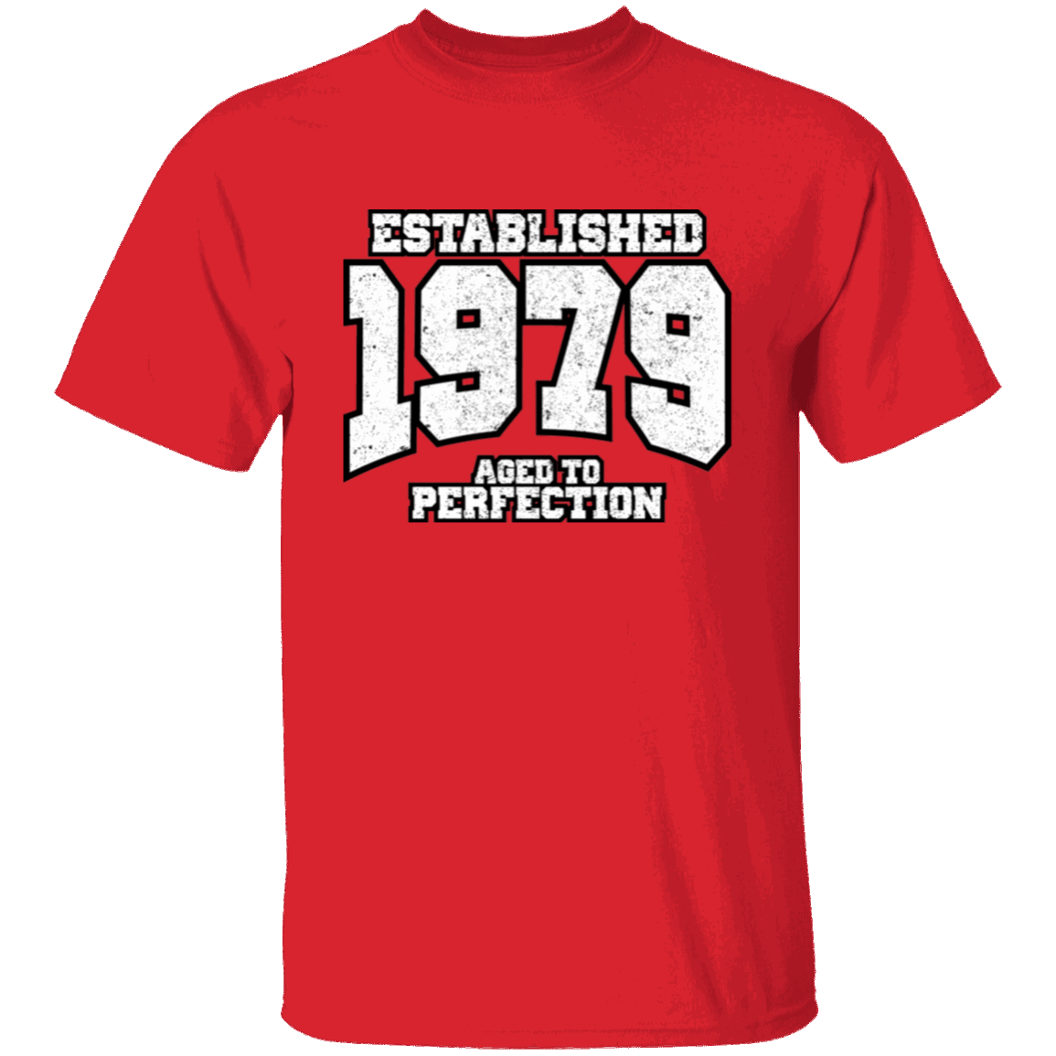 Established 1979 Aged To Perfection - T Shirt