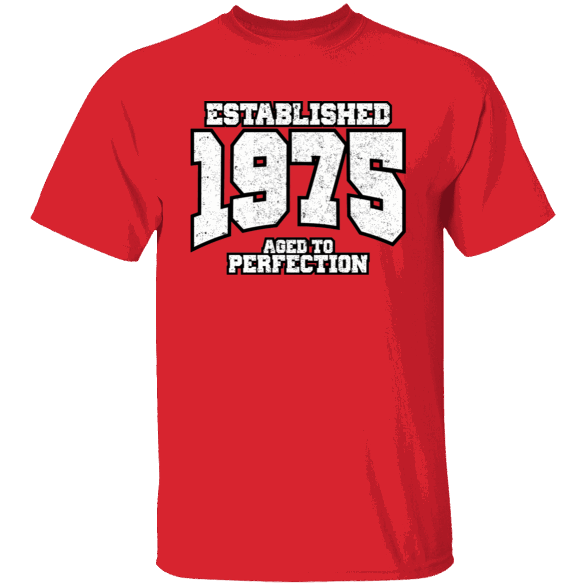 Established 1975 Aged To Perfection - T Shirt