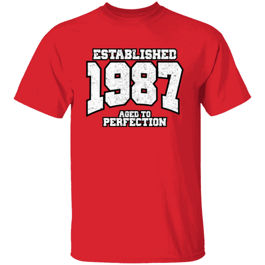 Established 1987 Aged To Perfection - T Shirt