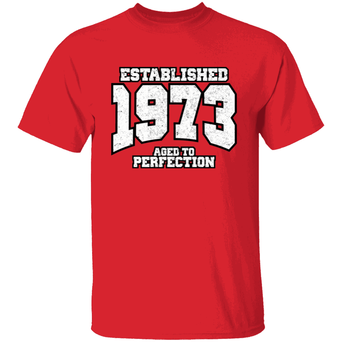 Established 1973 Aged To Perfection - T Shirt