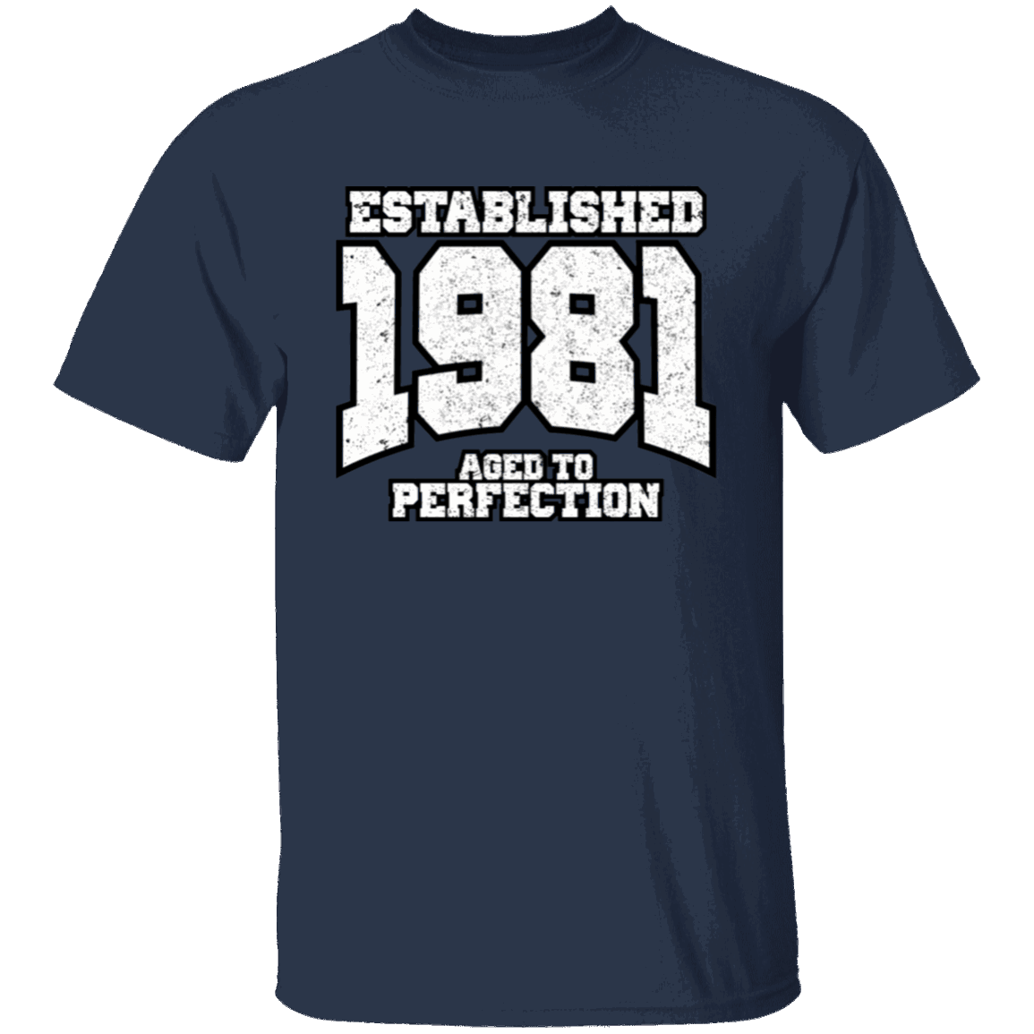 Established 1981 Aged To Perfection - T Shirt