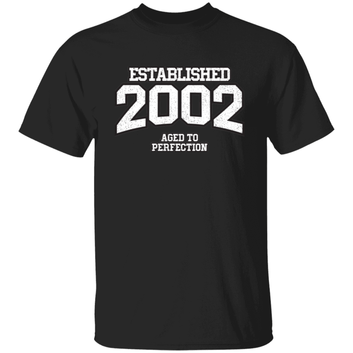 Established 2002 Aged To Perfection - T Shirt