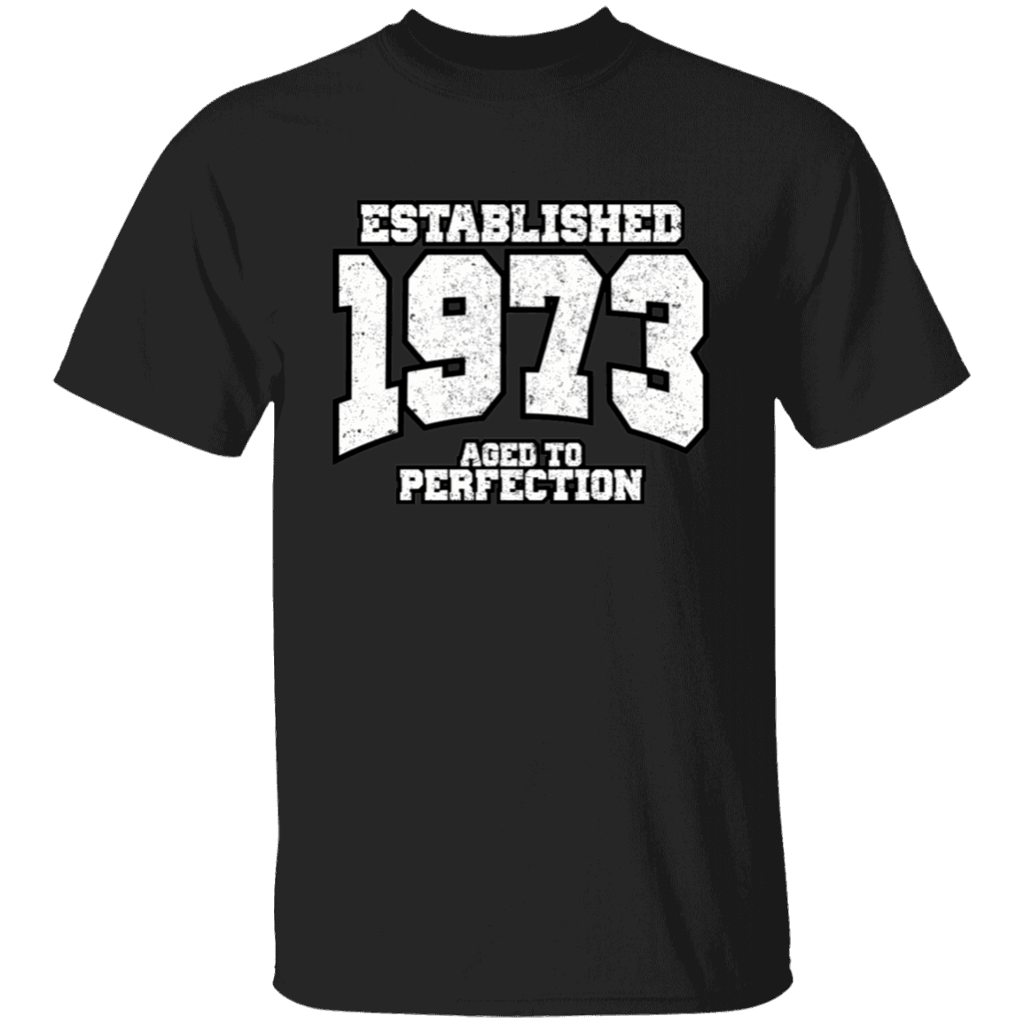 Established 1973 Aged To Perfection - T Shirt