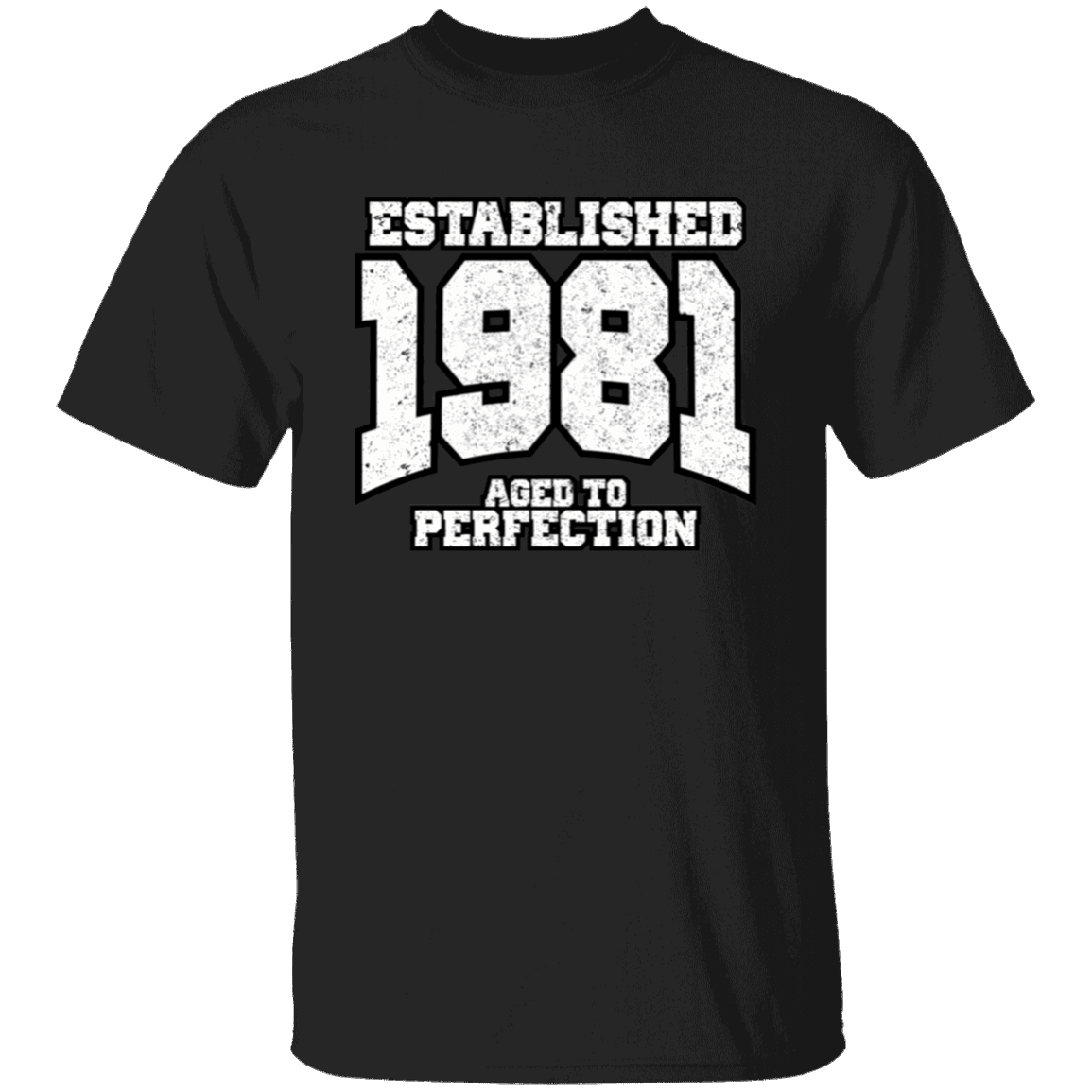 Established 1981 Aged To Perfection - T Shirt