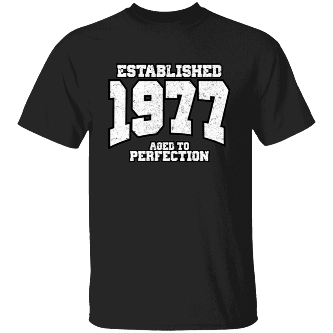 Established 1977 Aged To Perfection - T Shirt